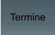 Termine